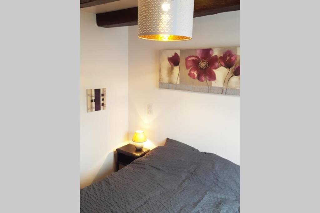Le Laguennois T3 De 45m2 A Proximite De Tulle *